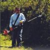 extended reach hedge trimmer